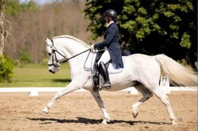 Lunging with Purpose and Basic In Hand Clinic with Sarah Casey